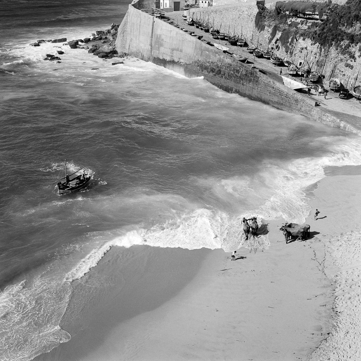 Portuguese fishermen 1950s