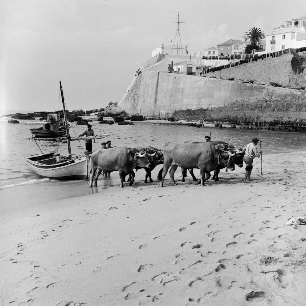 Fishing boats 1950s